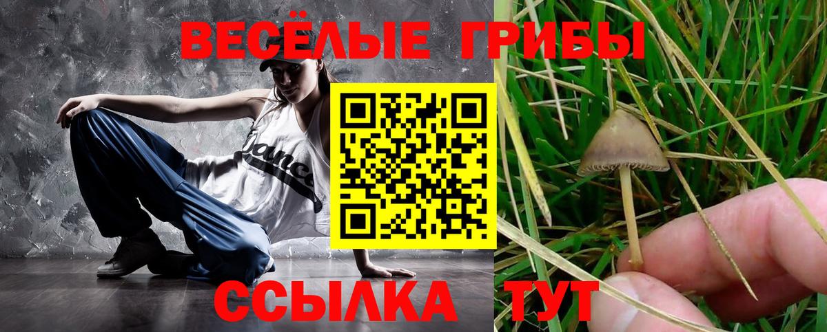 Лабинск  Псилоцибиновые грибы Cubensis  Псилоцибиновые грибы Psilocybe  как найти закладки  Вход с VPN 