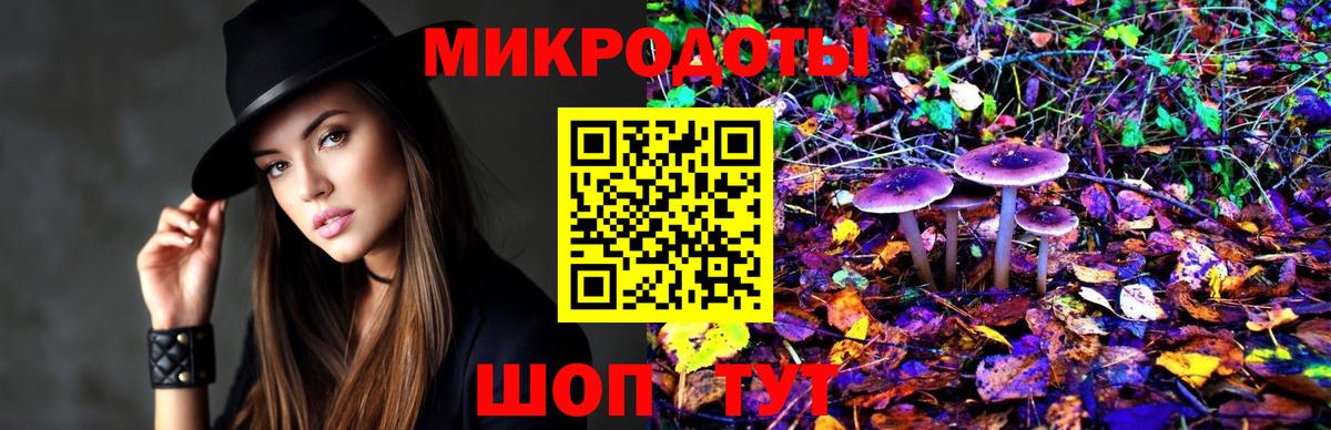 Псилоцибиновые грибы Cubensis Лабинск